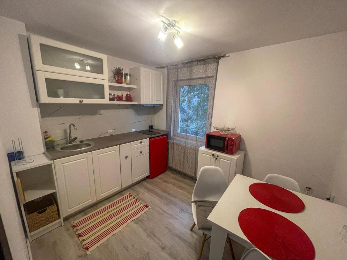 Buzz Apartment Kluž Exteriér fotografie