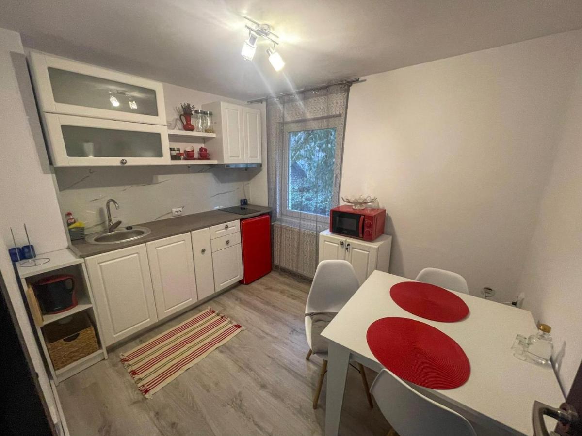 Buzz Apartment Kluž Exteriér fotografie