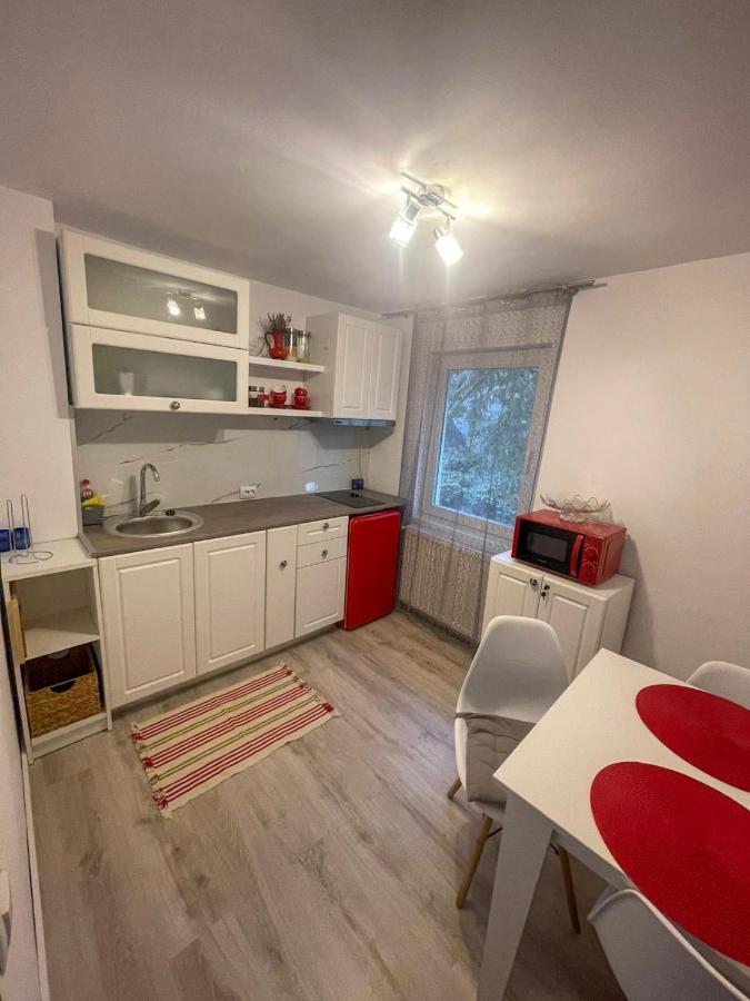 Buzz Apartment Kluž Exteriér fotografie